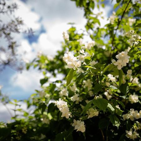 Il Giardino Acomodação com café da manhã Pimonte Exterior foto