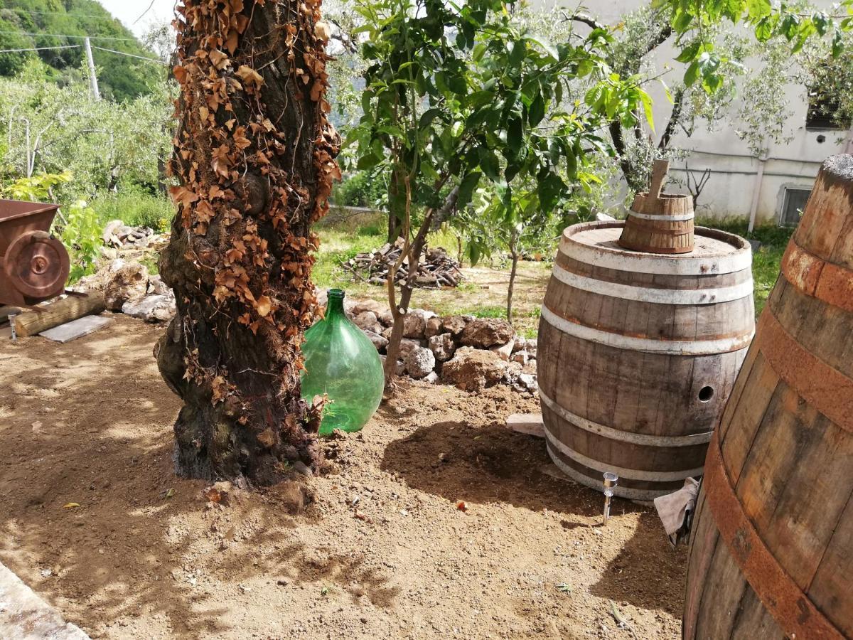 Il Giardino Acomodação com café da manhã Pimonte Exterior foto