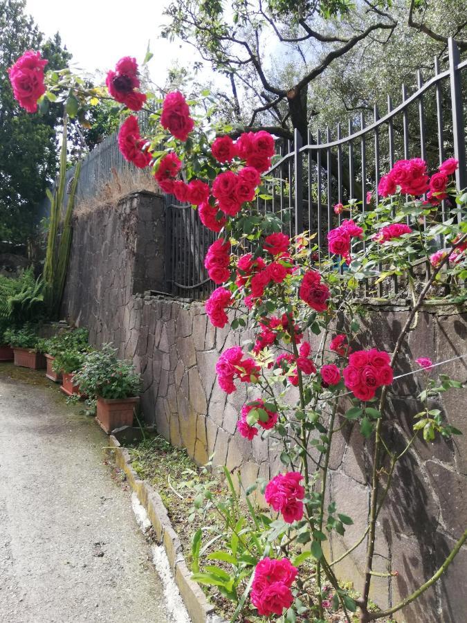 Il Giardino Acomodação com café da manhã Pimonte Exterior foto